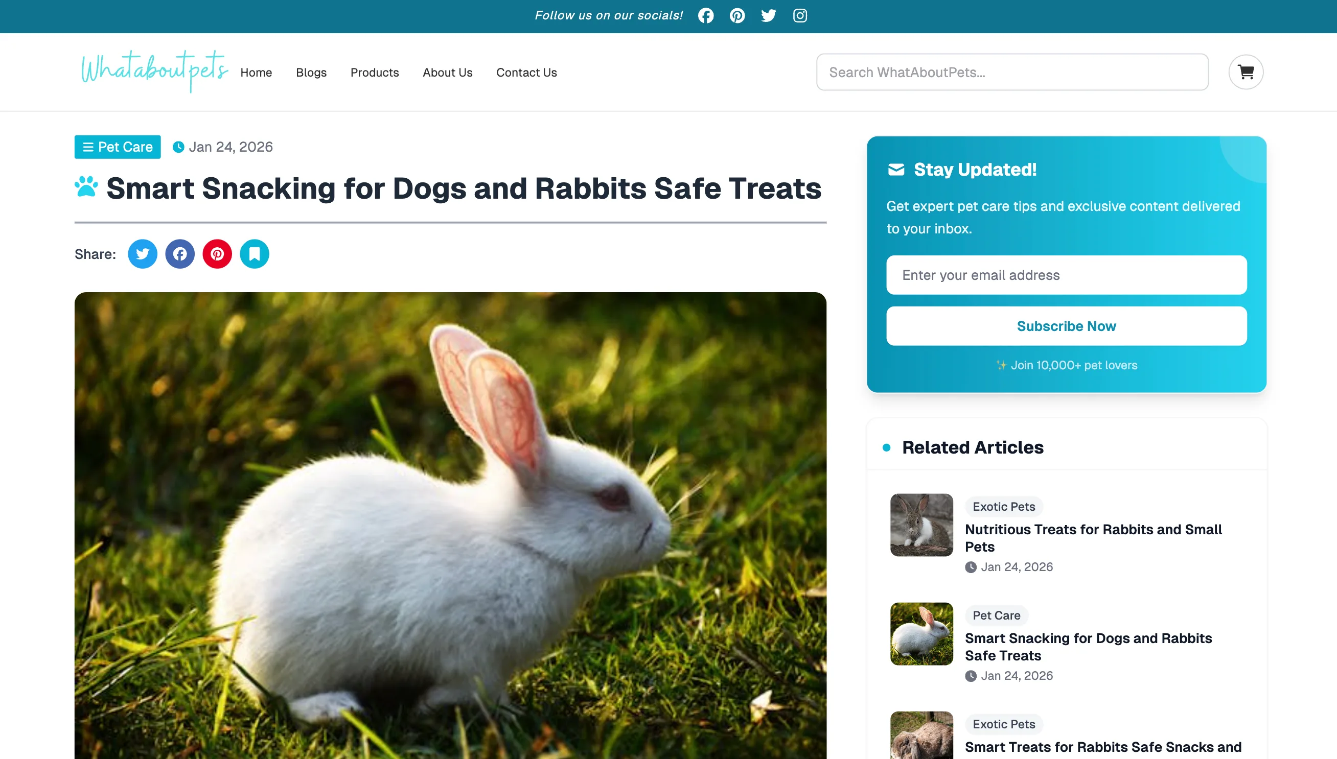 Content Sites preview 1